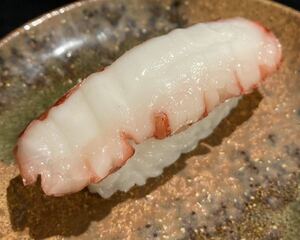 食品サンプル　握り寿司　タコ
