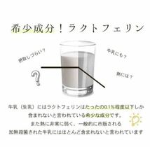 【免疫力向上】話題のラクトフェリン　約90日分（3袋）　健康維持　腸活　免活に！_画像4