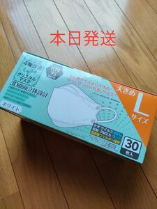 【本日発送】新品！未開封！未使用！高密度４層構造クリスタルマスクLサイズ３０枚