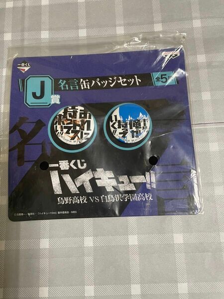 一番くじ 缶バッジ ハイキュー日向、影山