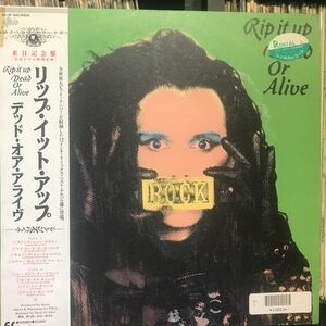 Dead Or Alive / Rip It Up 日本盤LP