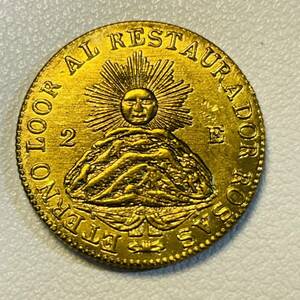  Argentina монета старая монета la* rio - .1843 год солнце страна глава шляпа Escudo монета -слойный 5.48g