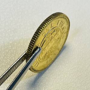 アルゼンチン 硬貨 古銭 ティエラ・デル・フエゴ 1889年 ピック ハンマー グラモス 鉱物土壌 記念幣 コイン 重3.74gの画像4