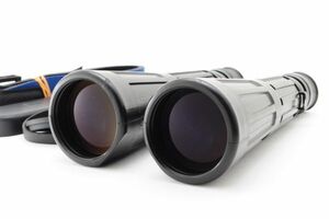 [AB- Exc] ZEISS Dialyt 8x56 B T* Binoculars Germany w/Strap From JAPAN 8866