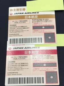 JAL日本航空株主割引優待券2枚セット　2024年5月31日までと11月30日まで有効