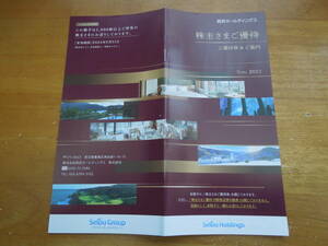 ★送料無料★西武ＨＤ　株主向け優待券冊子（共通割引券×10枚他）★2024.5.31期限