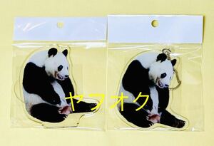  new work! new goods *.. zoo .. memory [ Tintin original acrylic fiber stand & key holder set (.. circle Tintin )]