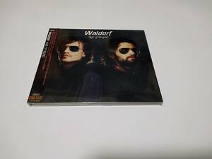 ●WALDORF！「AGE OF STUPID」エレクトロクラッシュ VITALIC DEE JAY GIGOLO DJ HELL