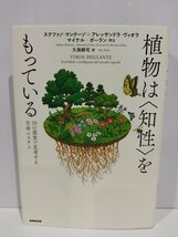 植物は＜知性＞をもっている 20の感覚で思考する生命システム　ステファノ・マンクーゾ/アレッサンドラ・ヴィオラ　NHK出版【ac02l】_画像1