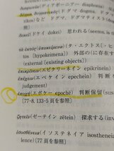 古代懐疑主義入門 判断保留の十の方式　J.アナス/J.バーンズ　岩波書店【ac02k】_画像7