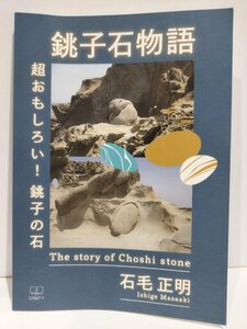 銚子石物語 超おもしろい！銚子の石 The story of Choshi stone 石毛正明 22世紀アート【ac04】