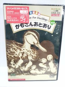 【DVD/未開封品】かもさんおとおり 全３話 世界絵本箱DVDセレクション 【ac01t】