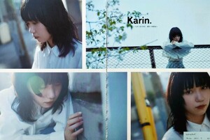 【切り抜き】カリン Karin. 30ページ