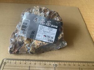 カミハタ　木化石（ぼっかせき） アクアリウムのレイアウトやインテリアに 02