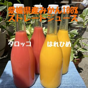 愛媛県産みかん　みかん１００% ストレートジュース　６本