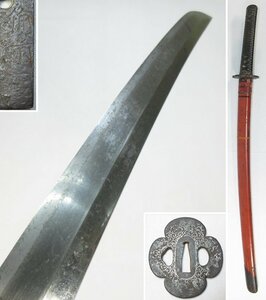 【G2316】武具 脇差 脇指 在銘 備前国(以下切れ) 磨上げ 一尺七寸六分 53.4cm 錆身 直刃 肥後拵え 銀象嵌 木瓜形 鉄鍔 朱塗鞘