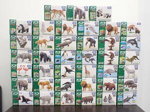 (258) 1 jpy ~ TAKARA TOMY Takara Tommy ania animal adventure 39 piece set dinosaur [ unopened ]