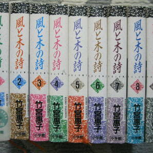 風と木の詩 竹宮惠子 全9巻完結 1988-89年 小学館叢書 (全巻カバー付/マンガ/各巻約360頁)