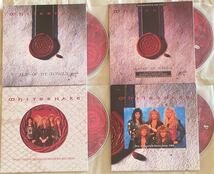 WHITESNAKE Slip Of The Tongue 30th Anniversary Remaster MMXIX リマスター 6枚組 DVD Box Set ライヴ_画像4