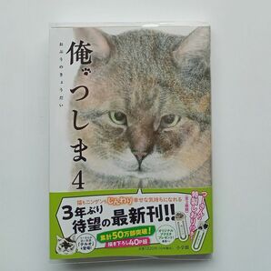 俺、つしま4 /おぷうのきょうだい （2024年4月29日初版）定価1320円