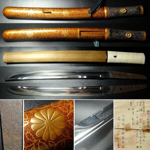 ..* sword .[ Hiramoto length ]. carving skill 9 size . minute short sword .. temper pattern lacqering ..... leaf Tang . map scabbard . leather pattern .. red copper fish . metal overglaze enamels . leaf map eyes . armour through white scabbard .4