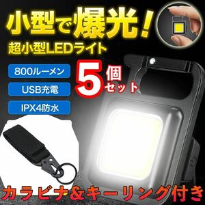 LED 投光器 ミニライト 小型 作業灯 5個セット 照明 懐中電灯 防水 万能カラビナキーホルダーセット 災害対策 散歩にも