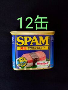 SPAM スパム 減塩 340g 12缶