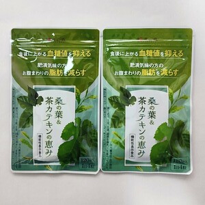 和漢の森　桑の葉＆茶カテキンの恵み　120粒×2袋血糖値　脂肪　ダイエット サプリ サプリメント #漢方セレクト