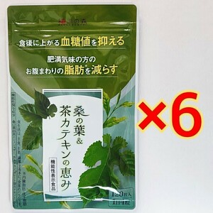 和漢の森　桑の葉＆茶カテキンの恵み　120粒×6袋血糖値　脂肪　ダイエット サプリ サプリメント 漢方セレクト