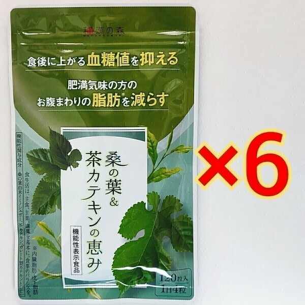 和漢の森　桑の葉＆茶カテキンの恵み　120粒×6袋血糖値　脂肪　ダイエット サプリ サプリメント 漢方セレクト