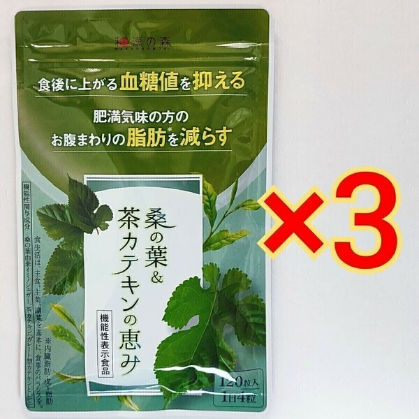 和漢の森　桑の葉＆茶カテキンの恵み　120粒×3袋血糖値　脂肪　ダイエット サプリ サプリメント #漢方セレクト