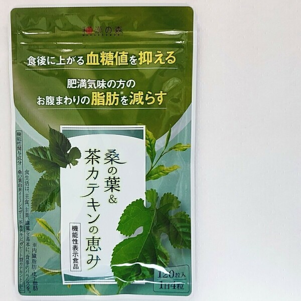 和漢の森　桑の葉＆茶カテキンの恵み　120粒 血糖値　脂肪　ダイエット サプリ サプリメント #漢方セレクト