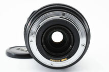 Canon EF 70-300mm F4.5-5.6 DO IS キヤノン ズームレンズ レンズフード ET-65B 付き #2379_画像6