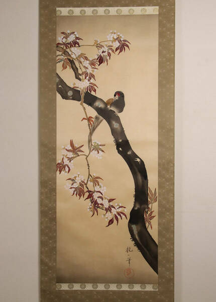【複製】工芸画 美品 絹本 酒井抱一「桜に雉子」掛軸 二重箱 共箱 軸先木製 / 日本画 彩色 花鳥図 M707