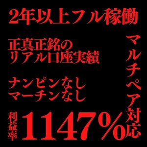 1口座のみ本日限定タイムセール！ナンピンマーチンなし！！リアル口座1147％達成 FXEA「FOCUS SYSTEM」自動売買 マルチペア　1口座分