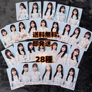 日向坂46 君はハニーデュー HMV特典 クーポン 28種 フルコンプ (検 乃木坂46 櫻坂46 チャンスは平等 封入生写真 コンプ シリアルナンバーの画像1