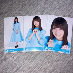 小坂菜緒 キュン 日向坂46 コンプ 封入生写真(検 櫻坂46 乃木坂46 月と星が踊るmidnight Monopoly 脈打つ感情 承認欲求 日向坂46