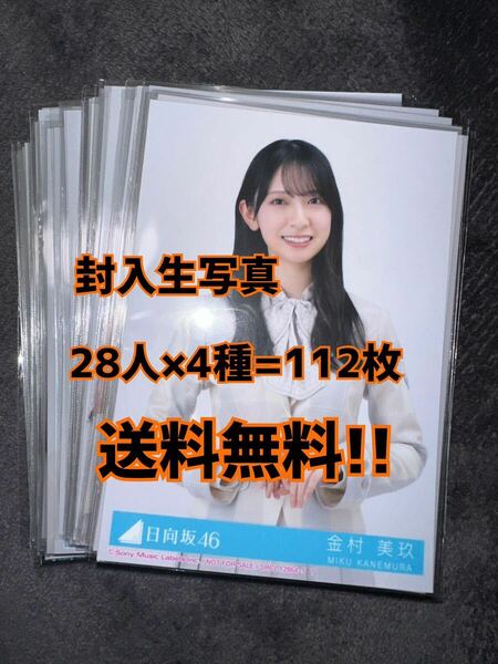 日向坂46 君はハニーデュー 28人x4種 計112枚セット フルコンプ 封入生写真(検 乃木坂46 櫻坂46 チャンスは平等 応募券 シリアルナンバー