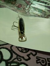 DAIWA TD MINNOW ダイワ TD ミノー_画像5