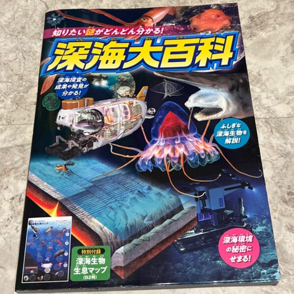 知りたい謎がどんどん分かる！深海大百科 ３０３ＢＯＯＫＳ／編著