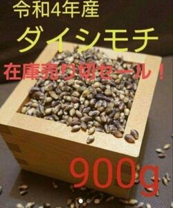 令和4年産 ダイシモチ 玄麦