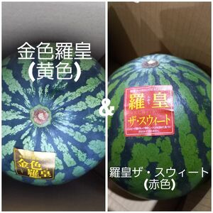 4箱限定！熊本県産植木スイカ　金色羅王&羅王ザ・スウィート　家庭用2玉入り(各1玉6kg以上)