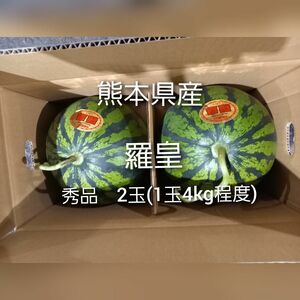 翌日までに発送可！熊本県産羅皇　秀品2玉入り(1玉4kg程度)