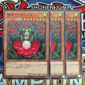 v914☆遊戯王☆ 椿姫ティタニアル 3枚 ノーマル DBSS 在庫3セット