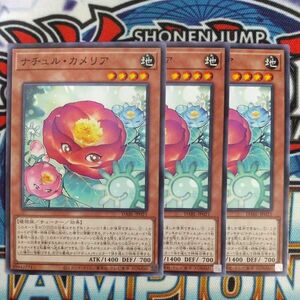 16778☆遊戯王☆ ナチュル・カメリア 3枚 ノーマル DABL