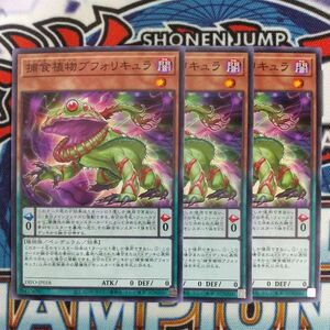 16767☆遊戯王☆ 捕食植物ブフォリキュラ 3枚 ノーマル DIFO プレデター・プランツ