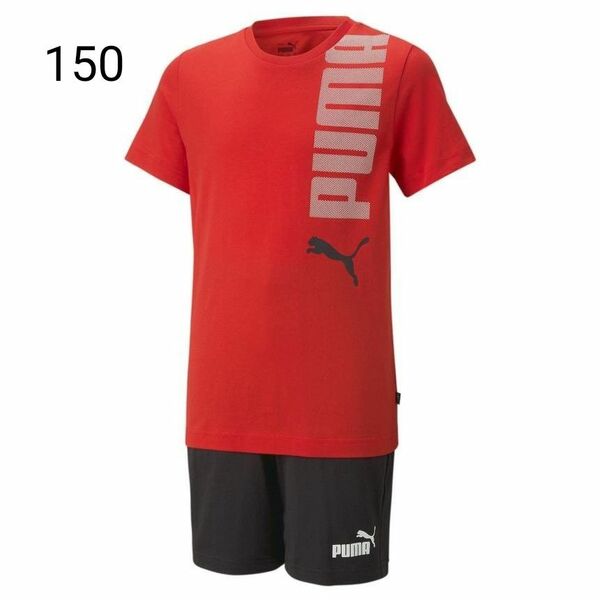 新品　PUMA　半袖　Tシャツ　男の子　150　ハーフパンツ　セットアップ