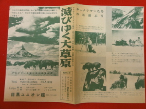 58005『滅びゆく大草原』目黒ユニオン座チラシ　ジェームズ・アルガー　トム・マクヒュー　ベン・シャープスティーン