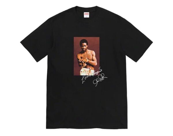 【Lサイズ】Supreme Al Green Tee シュプリーム Tシャツ