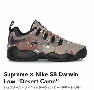 Supreme × Nike SB Darwin Low Desert Camo 28.0cm US10.0 シュプリーム ナイキ